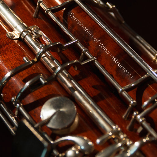 反抗激烈半推半就下一句
